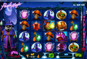 CoolCat Casino Review, Free spins, no deposit bonus, Casino bonus, Best Casino, Beast casino reviews.